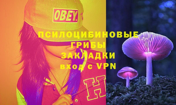 ECSTASY Балахна